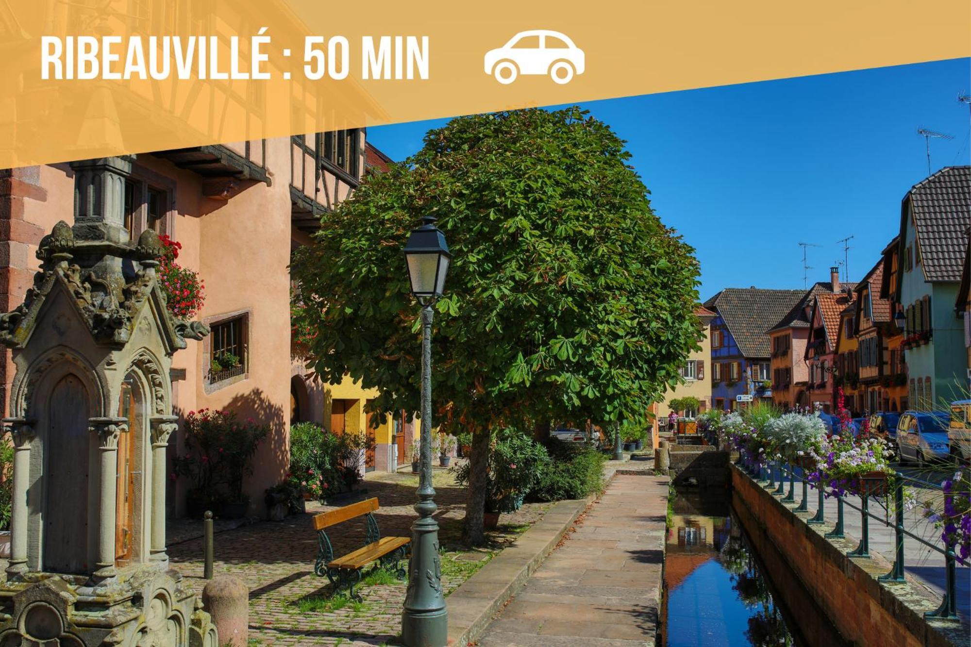 Cathyvoyages - Luxe Et Evasion - Gare 2 Min Et Ville 4 Min - Ciel Etoile - Netflix Videoprojecteur - Garage Possible Ou Parking Gratuit Strasbourg Eksteriør billede