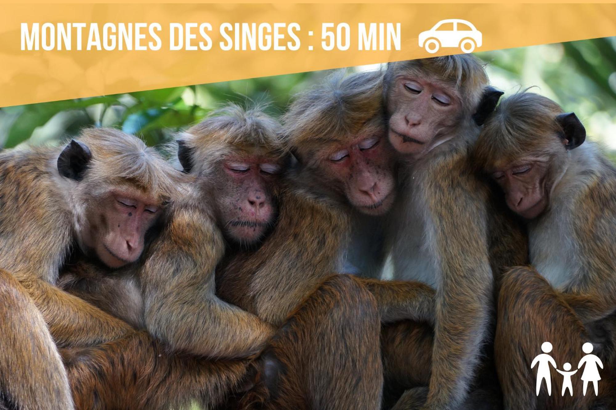 Cathyvoyages - Luxe Et Evasion - Gare 2 Min Et Ville 4 Min - Ciel Etoile - Netflix Videoprojecteur - Garage Possible Ou Parking Gratuit Strasbourg Eksteriør billede